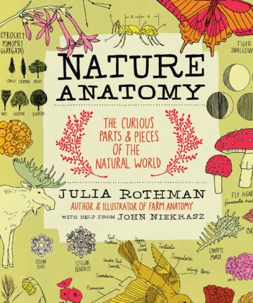 Nature anatomy : the curious parts & pieces of the natural world
